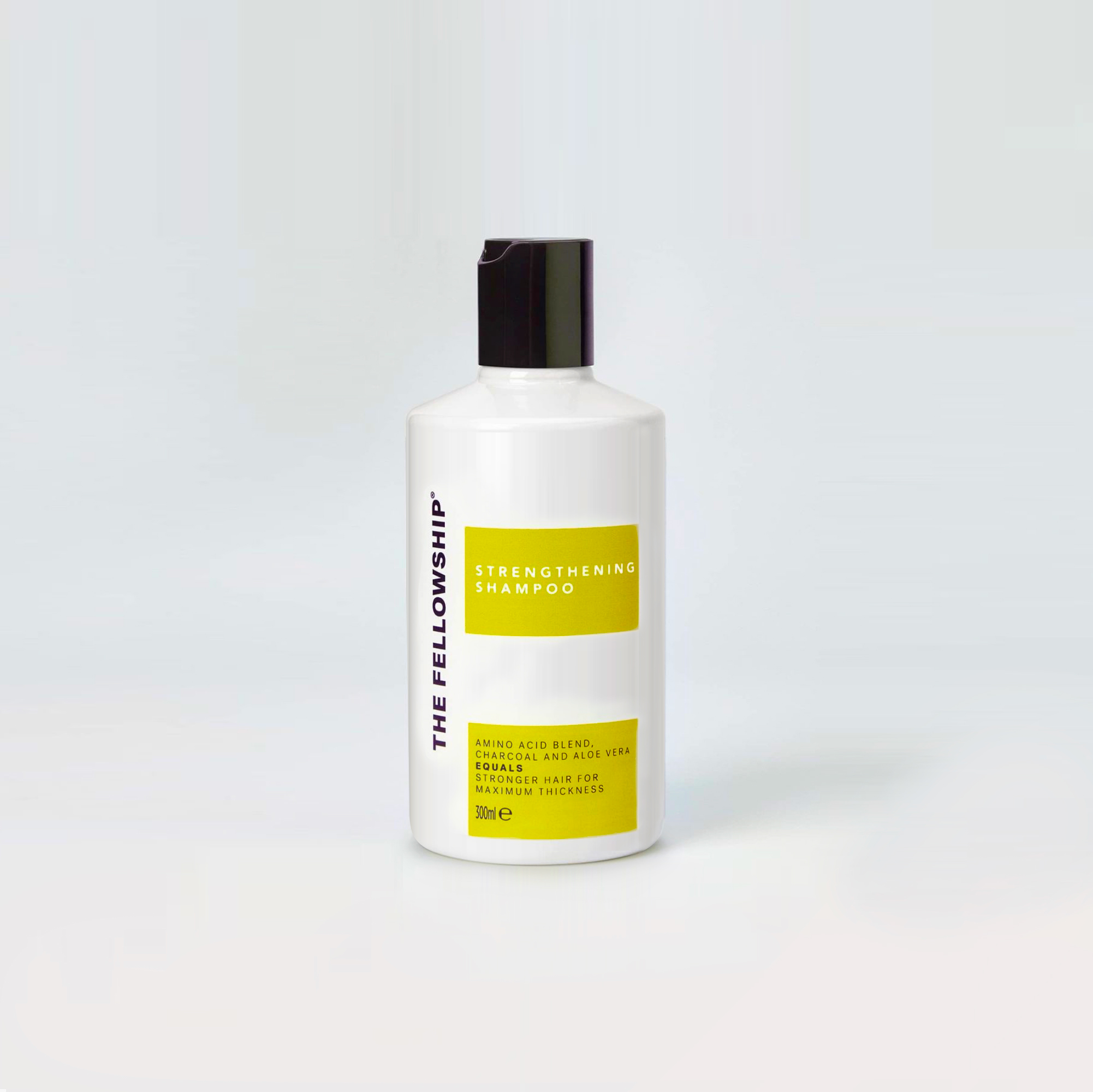 The Fellowship LOGO The Fellowship LOGO