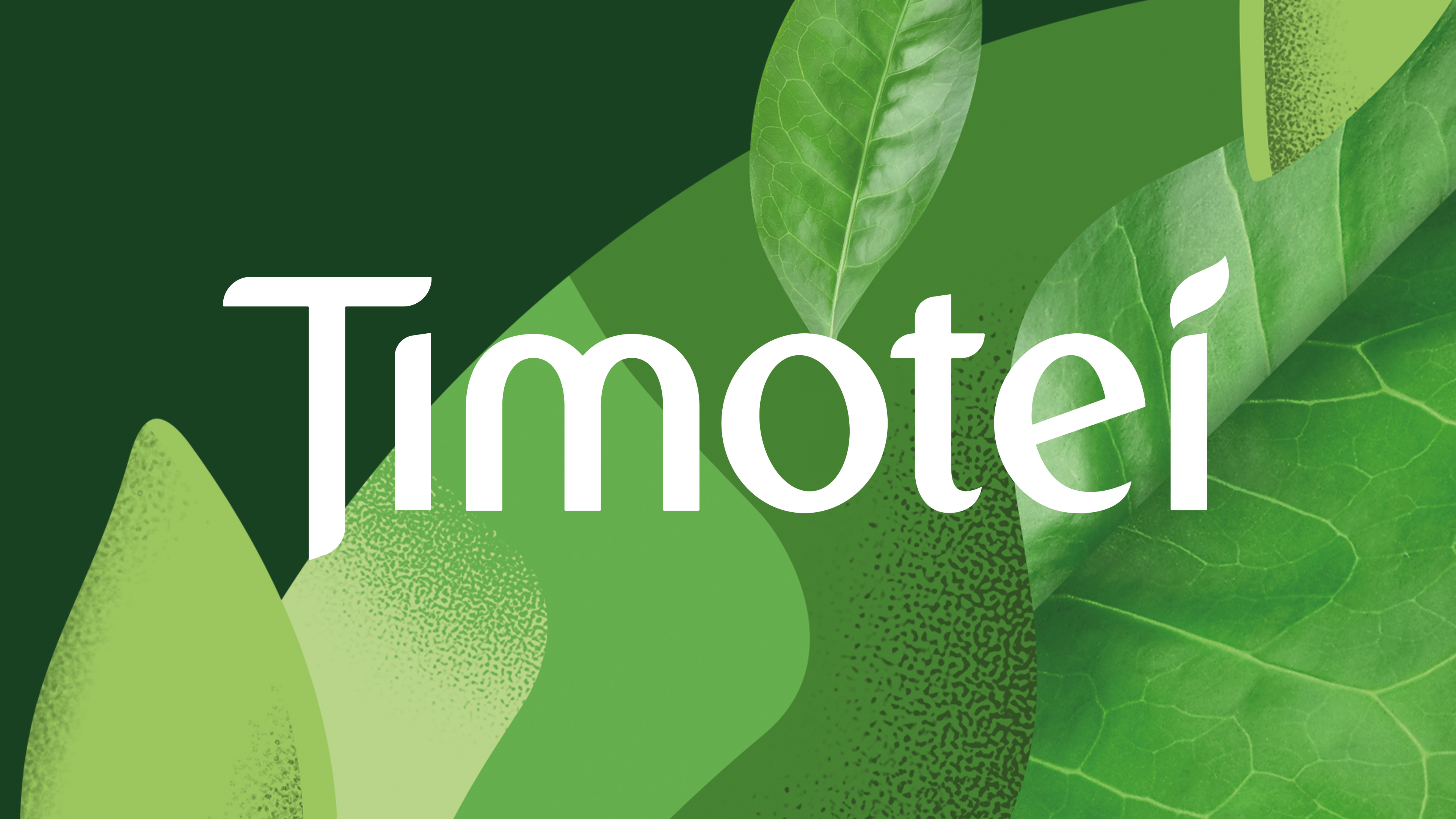 护发企业VI设计